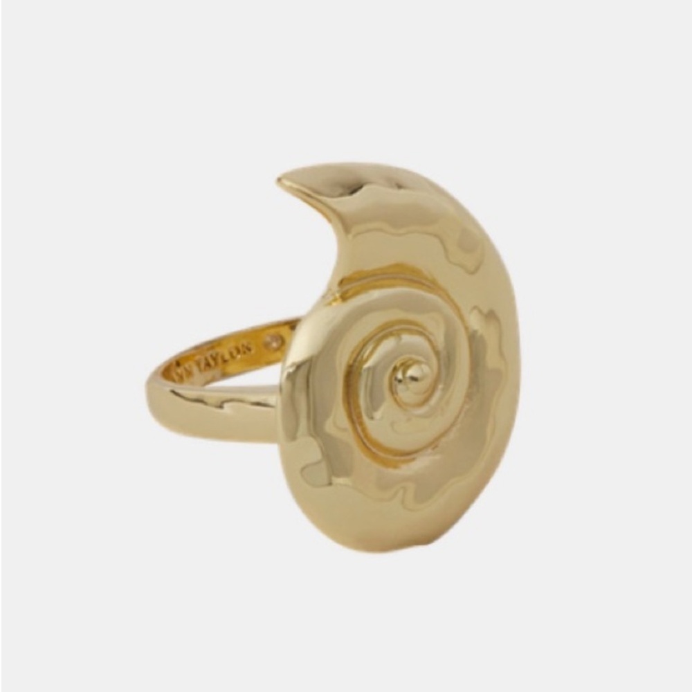 Ann Taylor ring